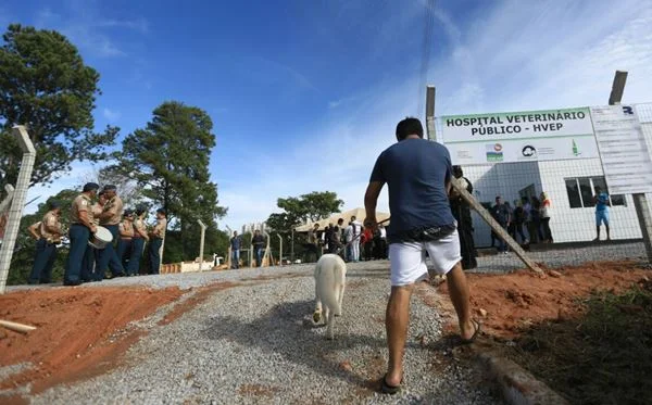 GDF libera R$ 10 milhões para funcionamento do hospital veterinário