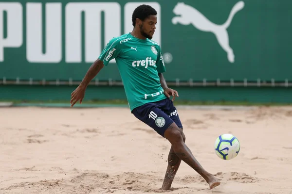 Palmeiras encerra preparação sem cravar Luiz Adriano contra Bahia