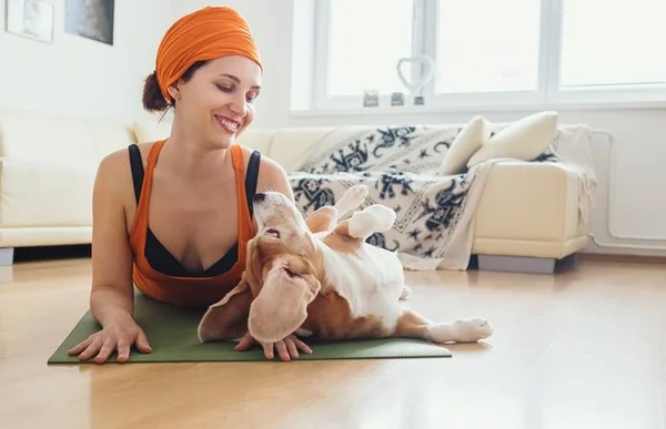Dog Yoga: conheça a atividade para ser praticada com o seu cãozinho