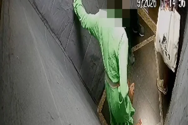 Advogada que diz ser casada com Elon Musk encurralou vizinha em elevador