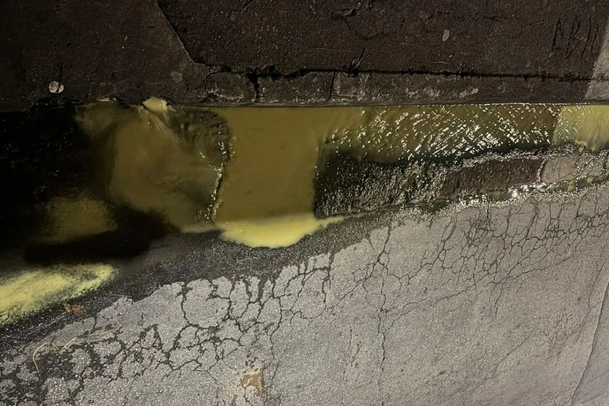 Descarte irregular de água suja por fábrica da Bauducco em Guarulhos (SP) causa transtornos a moradores há três anos Descarte irregular de água suja por fábrica da Bauducco em Guarulhos (SP) causa transtornos a moradores há três anos