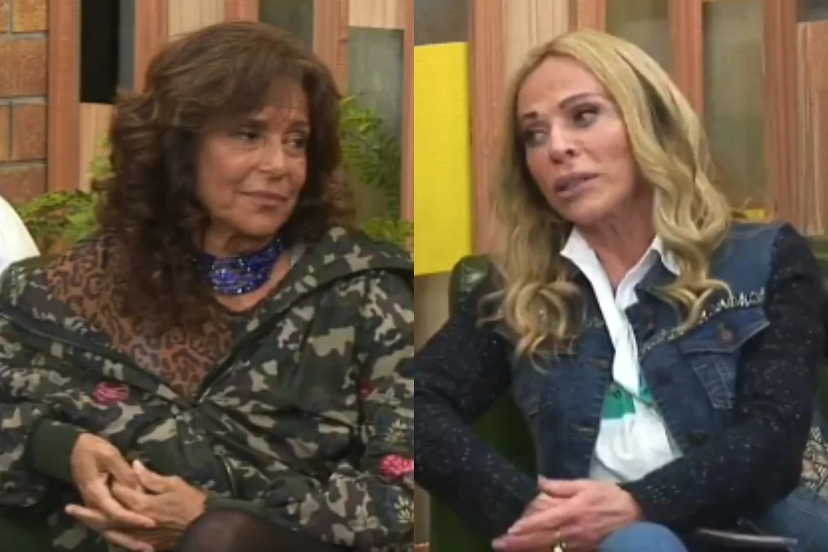 Entenda: Giovanna Gold reclama de Christina Rocha durante entrevista e gera climão