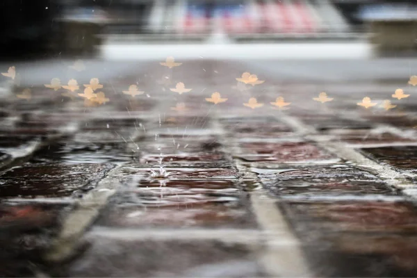 Imagem colorida de pista da Formula Indy molhada - Metrópoles