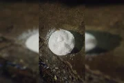 Balde com granizo da chuva