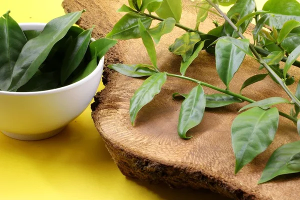Planta ora-pro-nobes