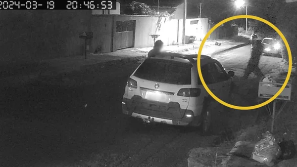 imagem colorida homem mata cachorro a pauladas em goias - Metrópoles