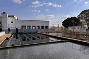 Departamento de Água e Esgoto (DAE) de Americana poderá adotar medidas emergenciais para minimizar impactos da escassez de chuva Departamento de Água e Esgoto (DAE) de Americana poderá adotar medidas emergenciais para minimizar impactos da escassez de chuva