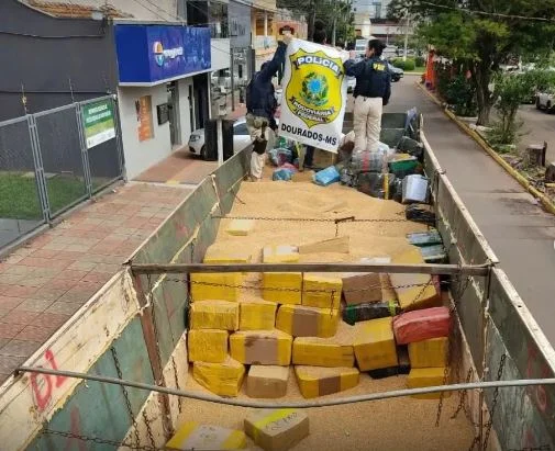 Em Ponta Porã, PRF realiza maior apreensão de maconha do semestre