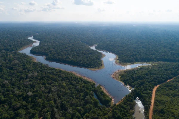 imagem colorida de Rio Jamari na floresta nacional do Jamari, na Amazônia