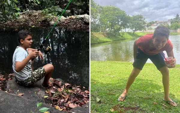 imagem colorida menino ataque abelhas goias