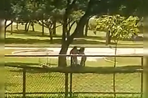 Vídeo: no DF, homem agride mulher e ateia fogo na vítima