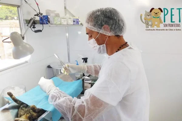 veterinário