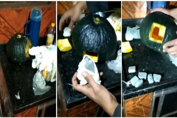 Maconha é encontrada em abóbora em Minas Gerais