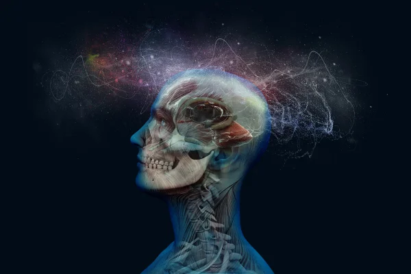 Ilustração colorida da parte superior do corpo humano, de perfil, virado para o lado esquerdo, com nebulosa sobre o crânio e raio x do esqueleto - M