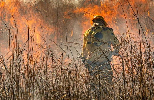 Brigadista - combate a incêndio - Ibama