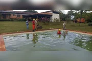A atuação do CBMGO garantiu a retirada segura dos animais, evitando riscos para os bovinos e para as pessoas envolvidas no resgate. A atuação do CBMGO garantiu a retirada segura dos animais, evitando riscos para os bovinos e para as pessoas envolvidas no resgate.