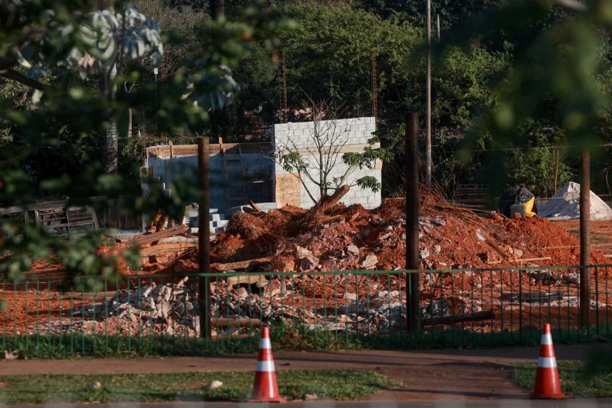 Girafas que foram traficadas pelo BioParque serão trazidas para o zoo de Brasília Girafas que foram traficadas pelo BioParque serão trazidas para o zoo de Brasília