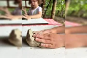 A ação do coletivo Araticum Educação Ambiental, leva a educação ambiental para promover espaços de convivência, lazer e conexão com a natureza para crianças e seus responsáveis A ação do coletivo Araticum Educação Ambiental, leva a educação ambiental para promover espaços de convivência, lazer e conexão com a natureza para crianças e seus responsáveis