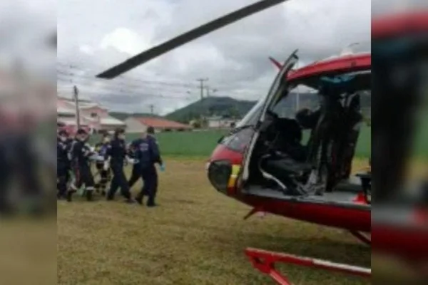 SC: bebê é morta por chow-chow após briga de cachorros, diz polícia