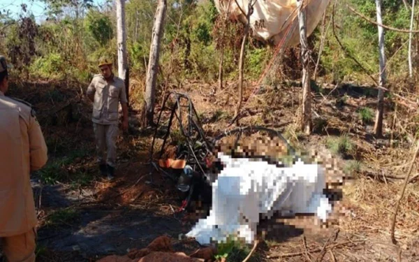 De casamento marcado, casal morre ao cair de parapente em Goiás