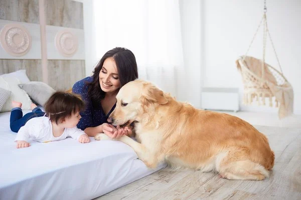 Relação entre bebê e cão: veja dicas para uma integração ideal