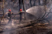 Nuvens de fogo e calor extremo: incêndios que castigam a Europa podem durar meses - imagem 2