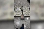 Mulher é presa pela PF em aeroporto com “supermaconha” escondida em malas - imagem 2 Mulher é presa pela PF em aeroporto com “supermaconha” escondida em malas - imagem 2