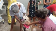 Terapia animal: pacientes recebem visitas de pets em Aparecida (GO) - imagem 2
