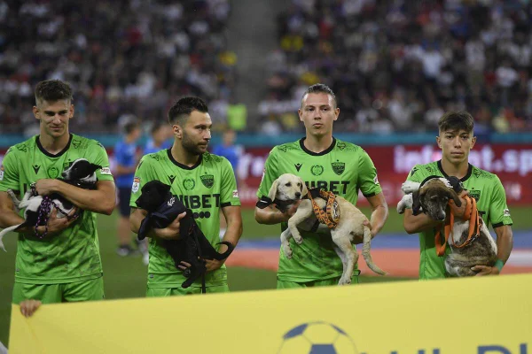 Quem soltou os cachorros? Animais invadem campos esportivos pelo mundo