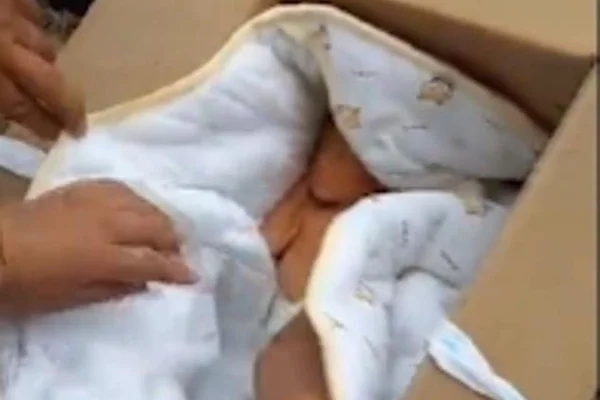 Vídeo: grupo encontra e salva bebê que foi enterrado vivo