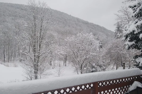 Tempestade de neve nos EUA cancela voos e fecha escolas