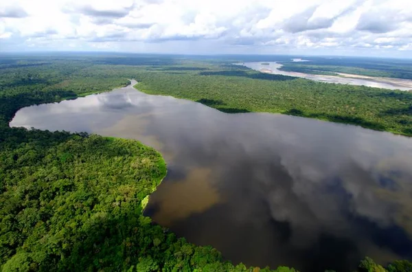 Proteção da Amazônia é destaque no Prêmio Megafone de Ativismo