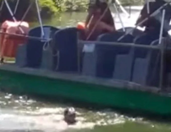 Condutor jogado em canal por exigir máscara de passageiro