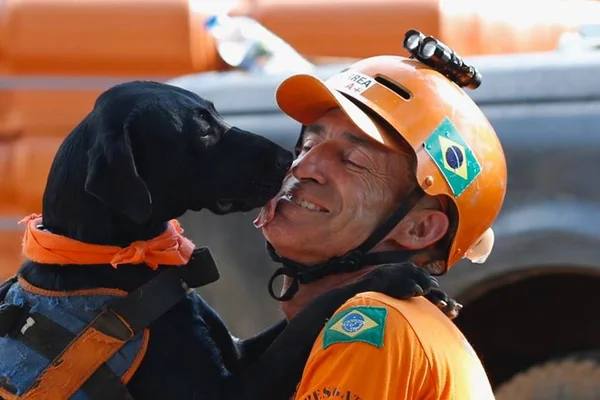 Prazer, Resgate: o cão que ajuda na busca de vítimas em Brumadinho