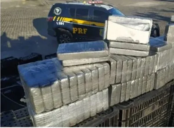 Cocaína apreendida na Bahia - Metrópoles