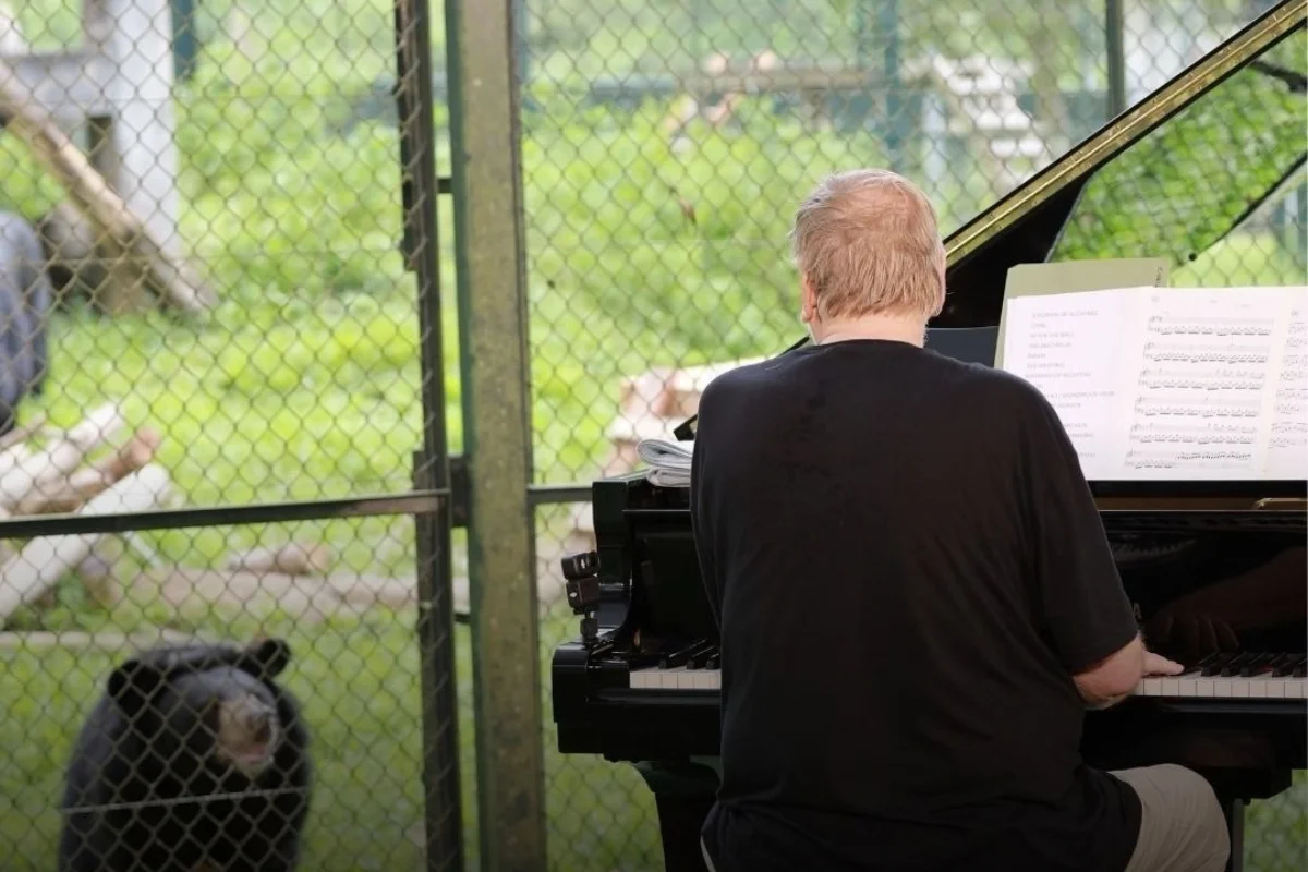 Rick Wakeman tocando piano para os ursos Rick Wakeman tocando piano para os ursos
