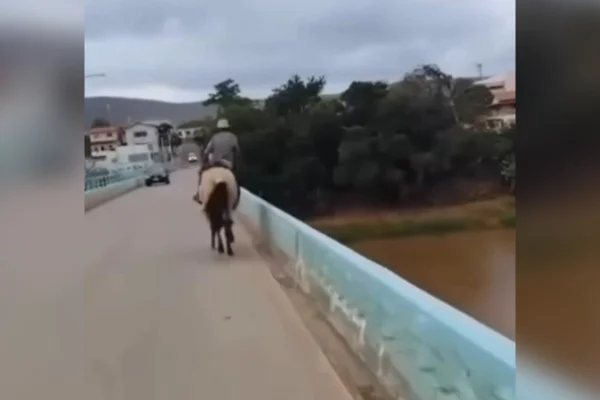 Embriagado, homem quase cai de cavalo em ponte de MG e vídeo viraliza