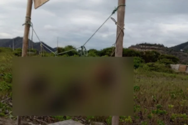 Cinco cabeças humanas são encontradas penduradas em praia no Equador