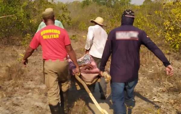 GO: idosa é resgatada a mais de 15 km de onde saiu para colher pequis