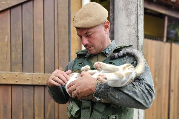 Autor tentava proteger suas aves quando derrubou o gato em um buraco entre o muro e sua casa. Além da prisão, ele foi autuado em R$ 6 mil - Metrópoles