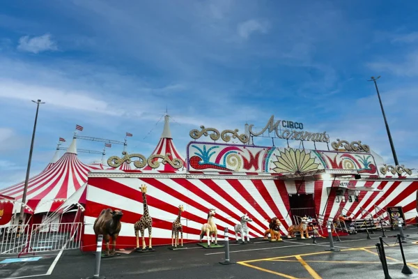 Trapezista cai de 4 metros em apresentação de circo em Brasília