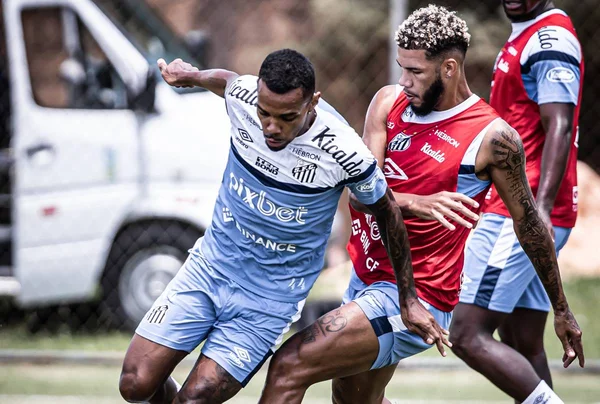 Jogadores do Santos