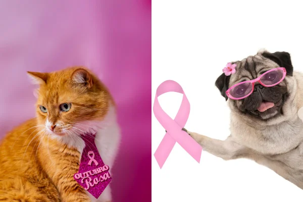 Montagem colorida gata e cadela no combate ao câncer de mama em pets
