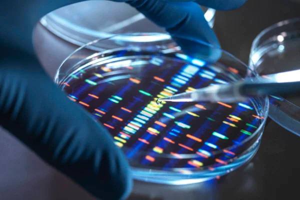 Imagem colorida de mãos usando luvas azul realizando teste de DNA em laboratório - Metrópoles