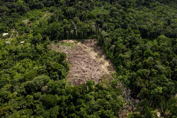 Área desmatada na Amazônia na Colômbia - Metrópoles