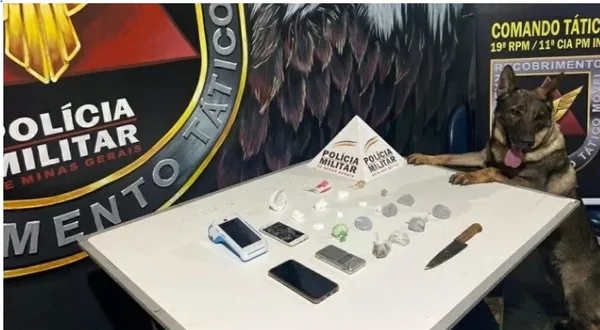 Cão farejador