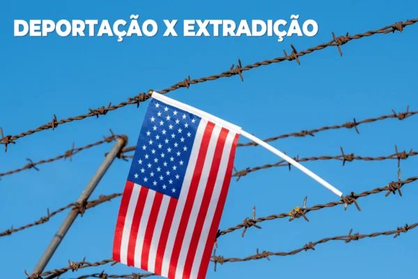 Imagem colorida de uma arte com cerca e ao centro uma bandeira dos EUA - Metrópoles