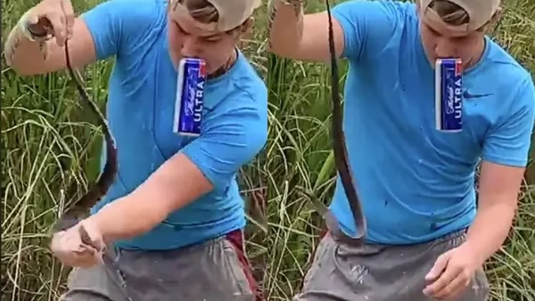 eua jovem picado por cobra enquanto tomava cerveja