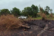 MapBiomas: 64% da área queimada desde 1985 já pegou fogo mais de 1 vez - imagem 2 MapBiomas: 64% da área queimada desde 1985 já pegou fogo mais de 1 vez - imagem 2