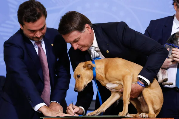 Foto colorida de dois homens brancos usando terno e um cachorro de médio porte na cor caramelo